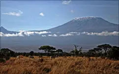 Uhuru | Kilimandzaro