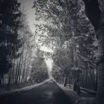 Aktualne altualności z drogi