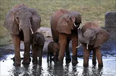 Dzieci kąpiemy się