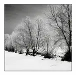 Lass Fatall dziesięć