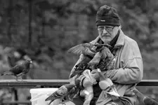 Człowiek i ptaki...