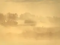 Spacer przez mokradła