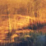 The Sun Is Going Down