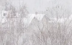 Dla odmiany coś w kolorze