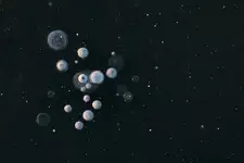 A planety szaleją...