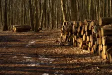 a w kalendarzu jeszcze zima