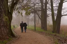 spacerkiem przez jesień