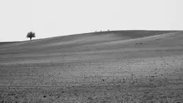 Dobrze zagospodarowana przestrzeń