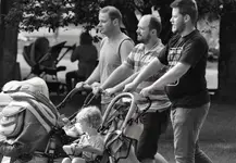 Trzej muszkieterowie