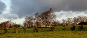 Skoro świt
