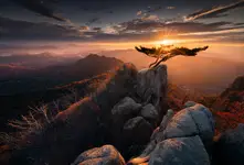 Samotna sosna w Daedunsan