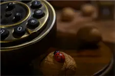 Przepraszam , czy mogę zadzwonić na miasto?