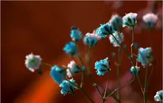 Z rogu sali lepsza widoczność.