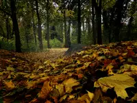 Jesień sprzed dni kilku