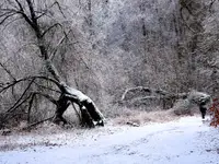 Wracam do domu, jest zimno