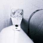 DE