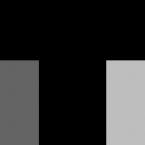 TE