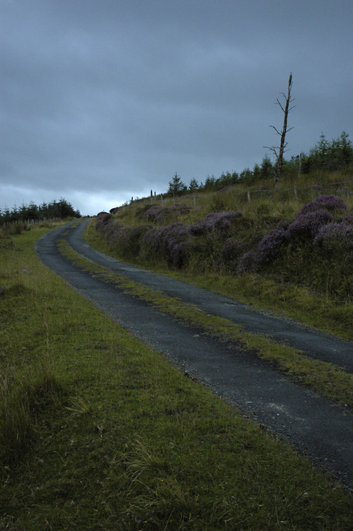 Road to nowhere