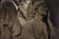 Tired Angel