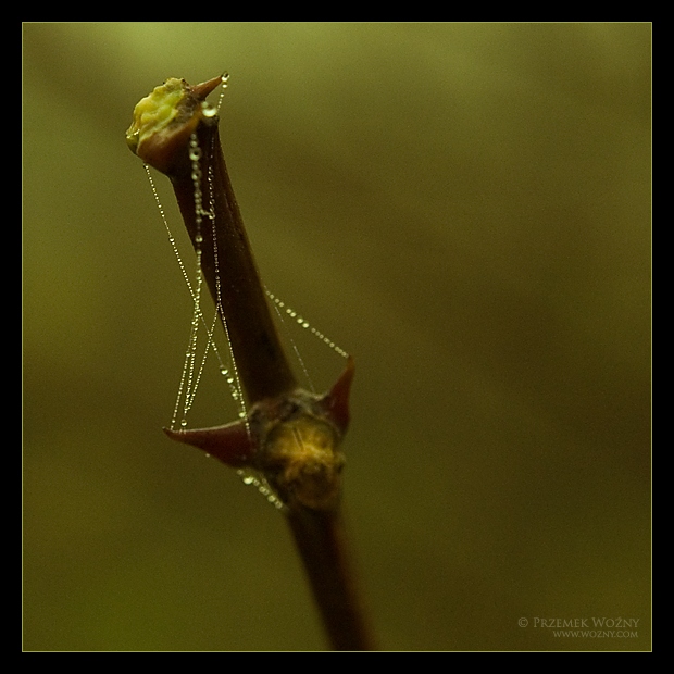 Kolory jesieni cz. 2