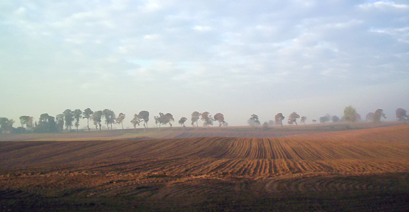 Panoramka