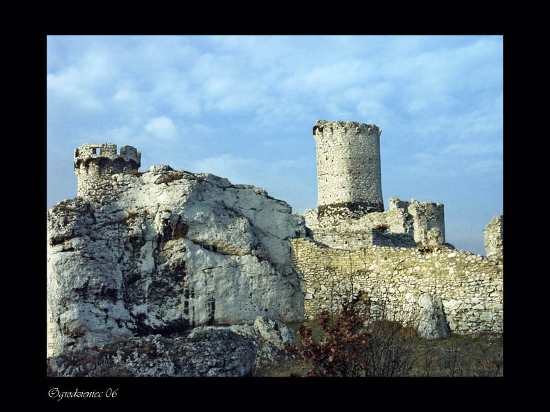 ogrodzieniec 06
