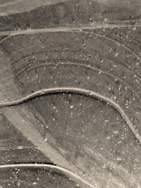 zamrożon