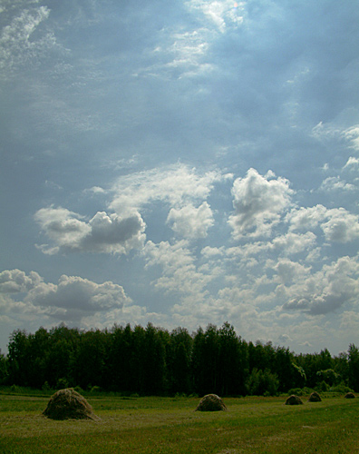 Radzic Stary