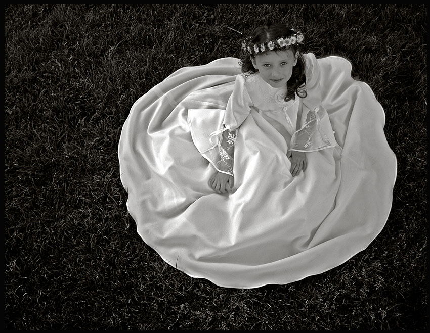 White Rose