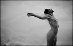 THE WIND