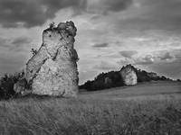 Kapucyn