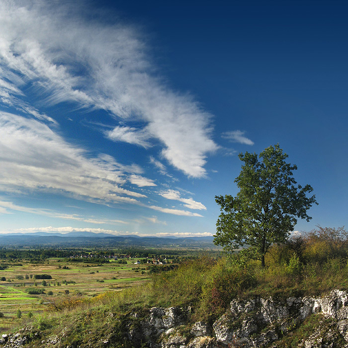 Kajasówka