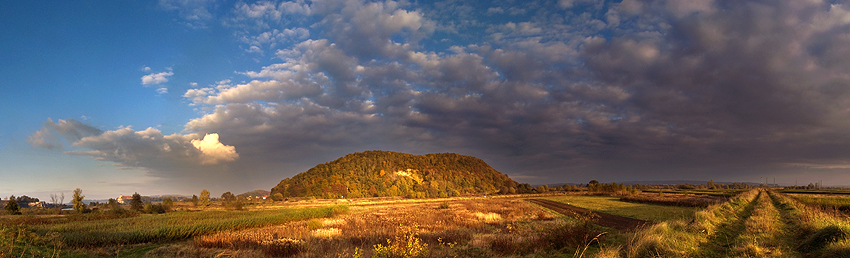 Tyniec