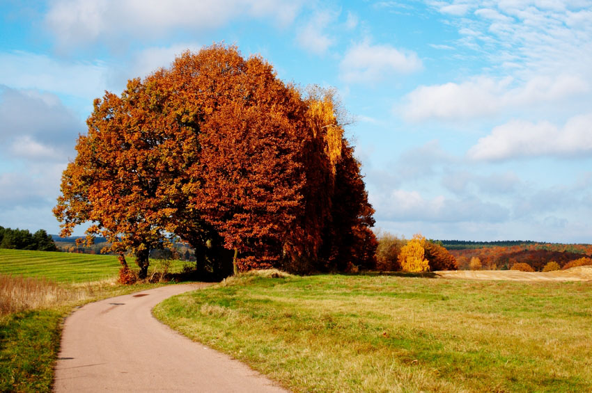 ROWERÓWKA 2