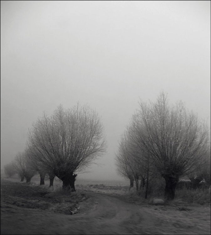 Solitude