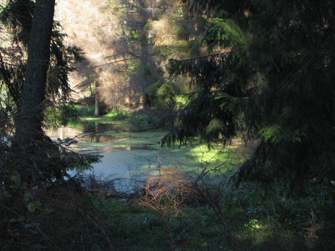 turystyczny