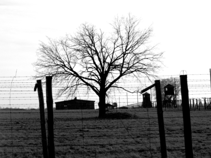 Majdanek vol.2