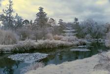 Infra Red
