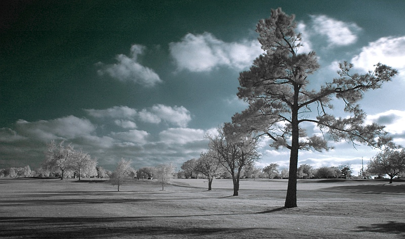 Pole golfowe w OKC