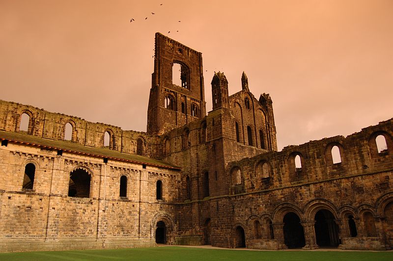 Kirkstall Abbey II