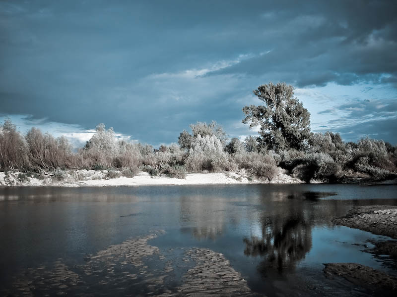 Wisła