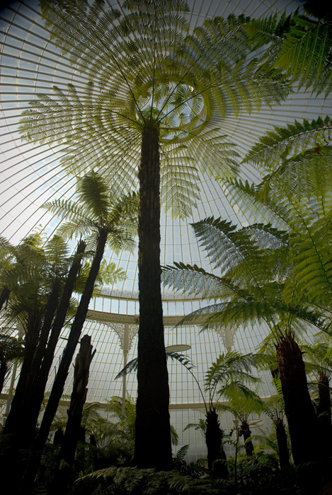 Botanic Gardens