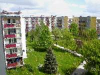 Widok na podwórko