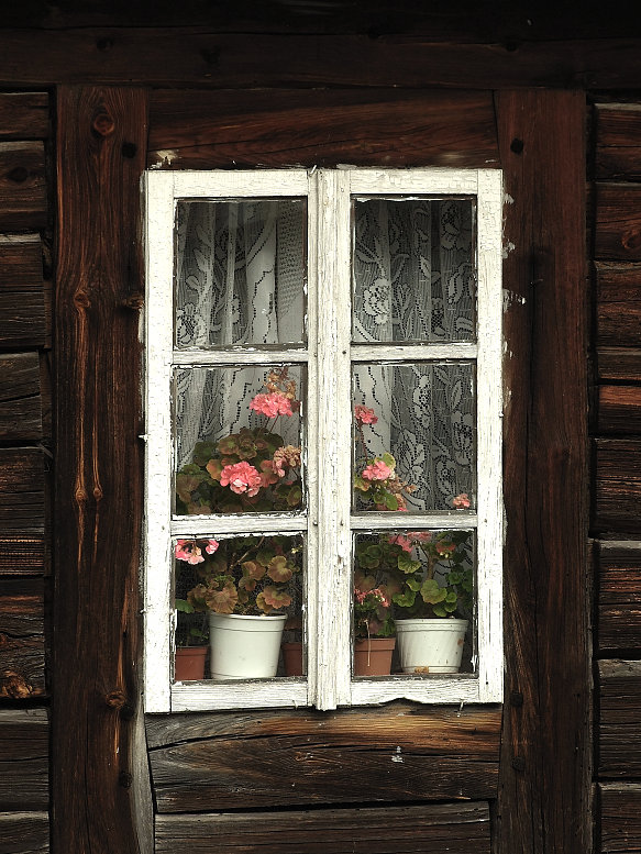 okienko