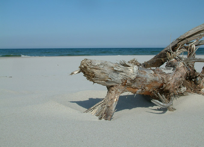 Bialogora 2003