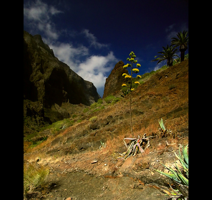 Barranco de Masca - Teneryfa