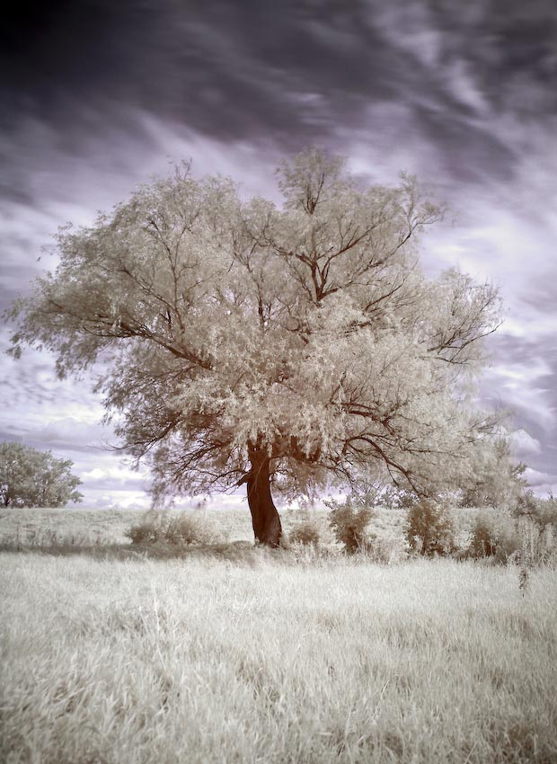 IR