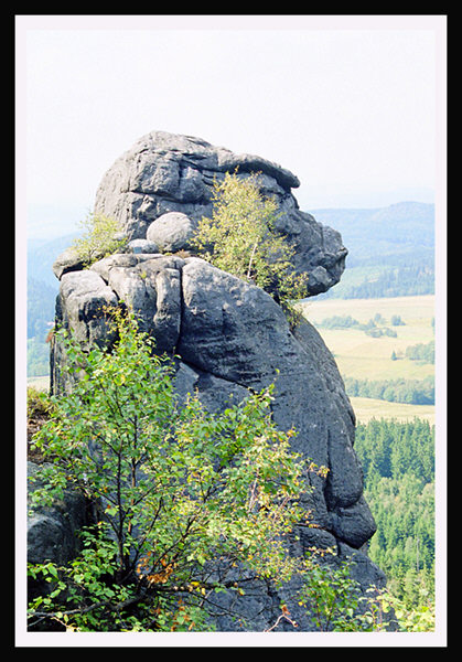 małpa