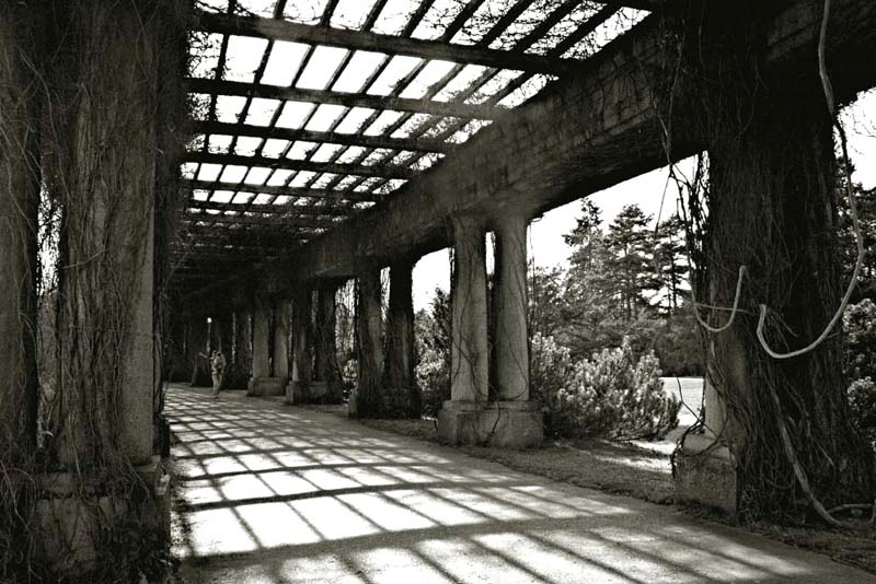 Pergola.