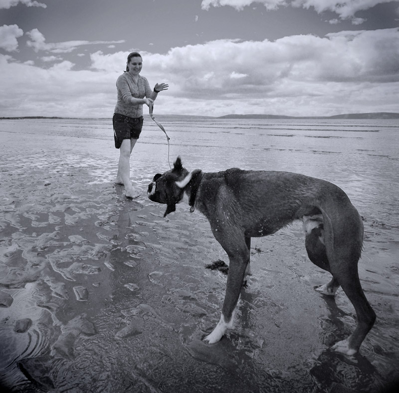 dog\\\'s live